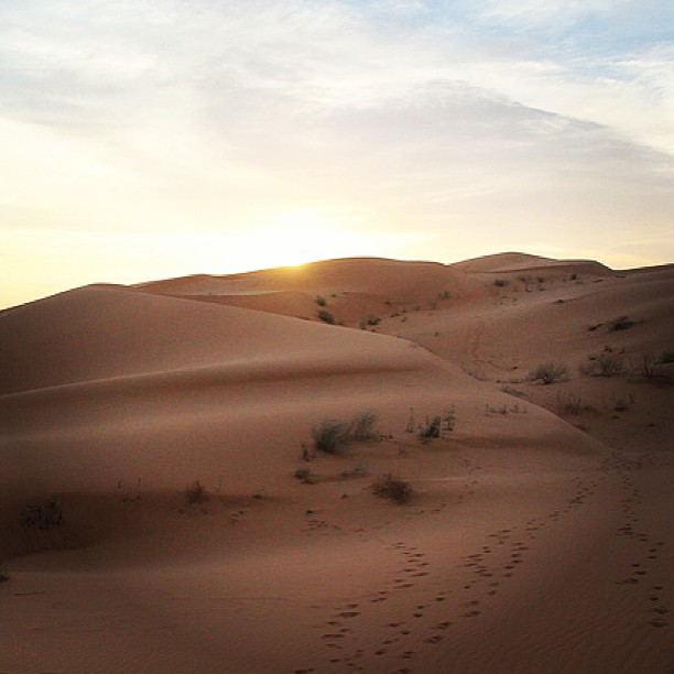 Reserva de la Biosfera El Pinacate y Gran Desierto de Altar, Sonora Reserva de la Biosfera El Pinacate y Gran Desierto de Altar, Sonora